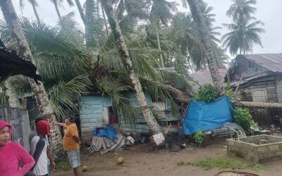 Rumah Warga di Natal Rusak Parah Tertimpa Pohon Tumbang Akibat Cuaca Ekstrem